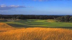 druids Heath